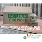 Golden Coil Nails Shooting Nails 40 MM 2.1 MM GN 4021 2